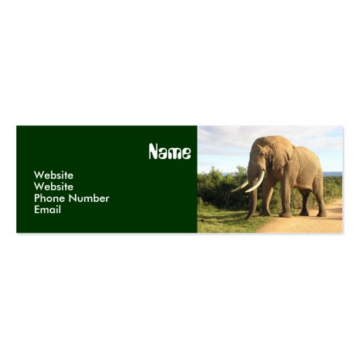 Elephant Skinny Business Card Template (front side)