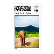 Elephant Stamp stamps