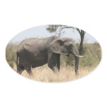 elephant stand oval sticker