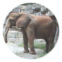 Elephant Sticker