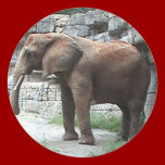 Elephant Sticker