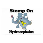 Elephant Stomp On Hydrocephalus