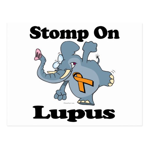 Elephant Stomp On Lupus Post Card