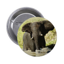 Elephant swimming (african elephant) button