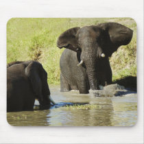 Elephant swimming (african elephant) mousepads by Rowood Elephant swimming (african elephant) mousepads