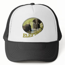 Elephant swimming wildlife safari hats