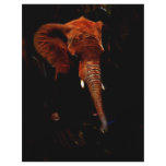 Elephant trunk flyers