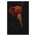 Elephant trunk stationery design