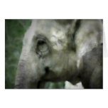 Elephant Walk Greeting Card