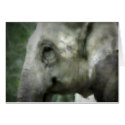 Elephant Walk cards
