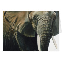 "Elephant" Wildlife Animal Watercolor Card