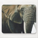 "Elephant" Wildlife Animal Watercolor Mouse Pads