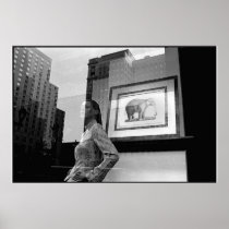 Elephant Window Posters