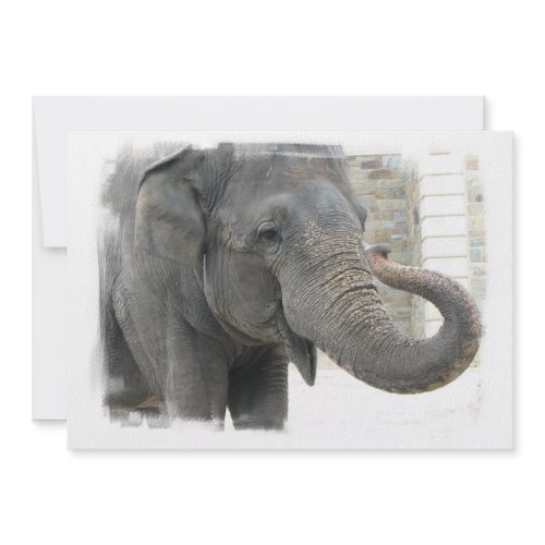 Elephant with Curled Trunk Invitation invitation