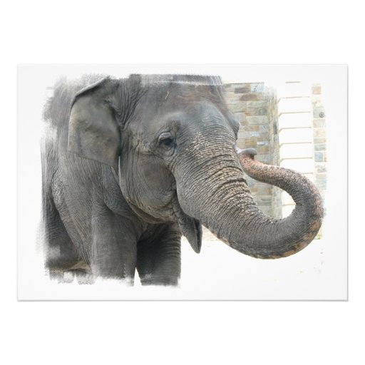 Elephant with Curled Trunk Invitation