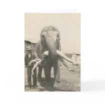 elephant with girl in mouth greeting card
