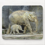 Elephant with Newborn Calf Mousepad