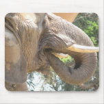 Elephant with Tusks Mouse Pad
