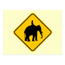 Elephantback Rider Crossing Postcards