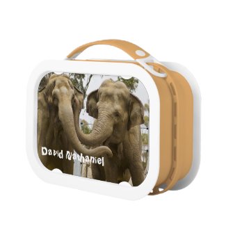 Elephants Lunchbox