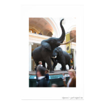 elephants2 posters by emoticant elephants2 posters