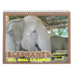 Elephants 2011 Calendar (of Elephant Nature Park)