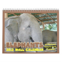 Elephants 2012 Calendar (of Elephant Nature Park)