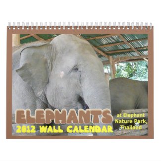 Elephants Photography 2012 Wall Calendar