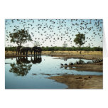 Elephants and Birds Elephants and Birds