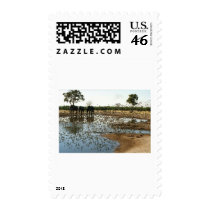 Elephants and Birds postage