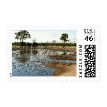 Elephants and Birds Stamp