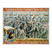 Elephants and Double Menagerie Circus Poster posters by ZephyrusBooks Elephants and Double Menagerie Circus Poster posters