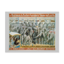 Elephants and Double Menagerie Circus Poster Post Cards