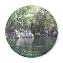 Elephants at play magnet
