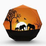 Elephants at sunset awards