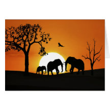 Elephants at sunset cards