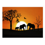 Elephants at sunset post cards