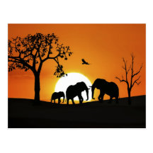 Elephants at sunset post cards