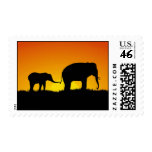 Elephants At Sunset Stamp