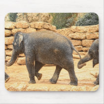Elephants at the Jerusalem Biblical Zoo mousepads
