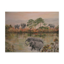 "Elephants At The Water Hole" Postcard