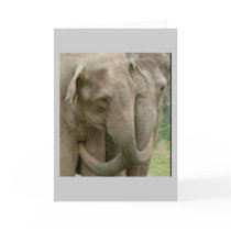 Elephants cards