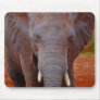 Elephants charge mousepad