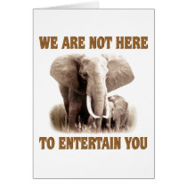Elephants Deserve Respect Cards