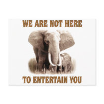 Elephants Deserve Respect postcards