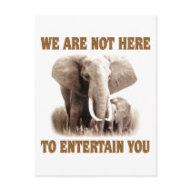 Elephants Deserve Respect Postcard