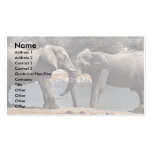 Elephants drinking at a watering place business card templates