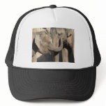 Elephants Elephants