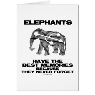 Elephants Have The Best Memories They Never Forget Greeting Cards