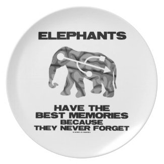 Elephants Have The Best Memories They Never Forget Party Plates